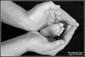 Naissance